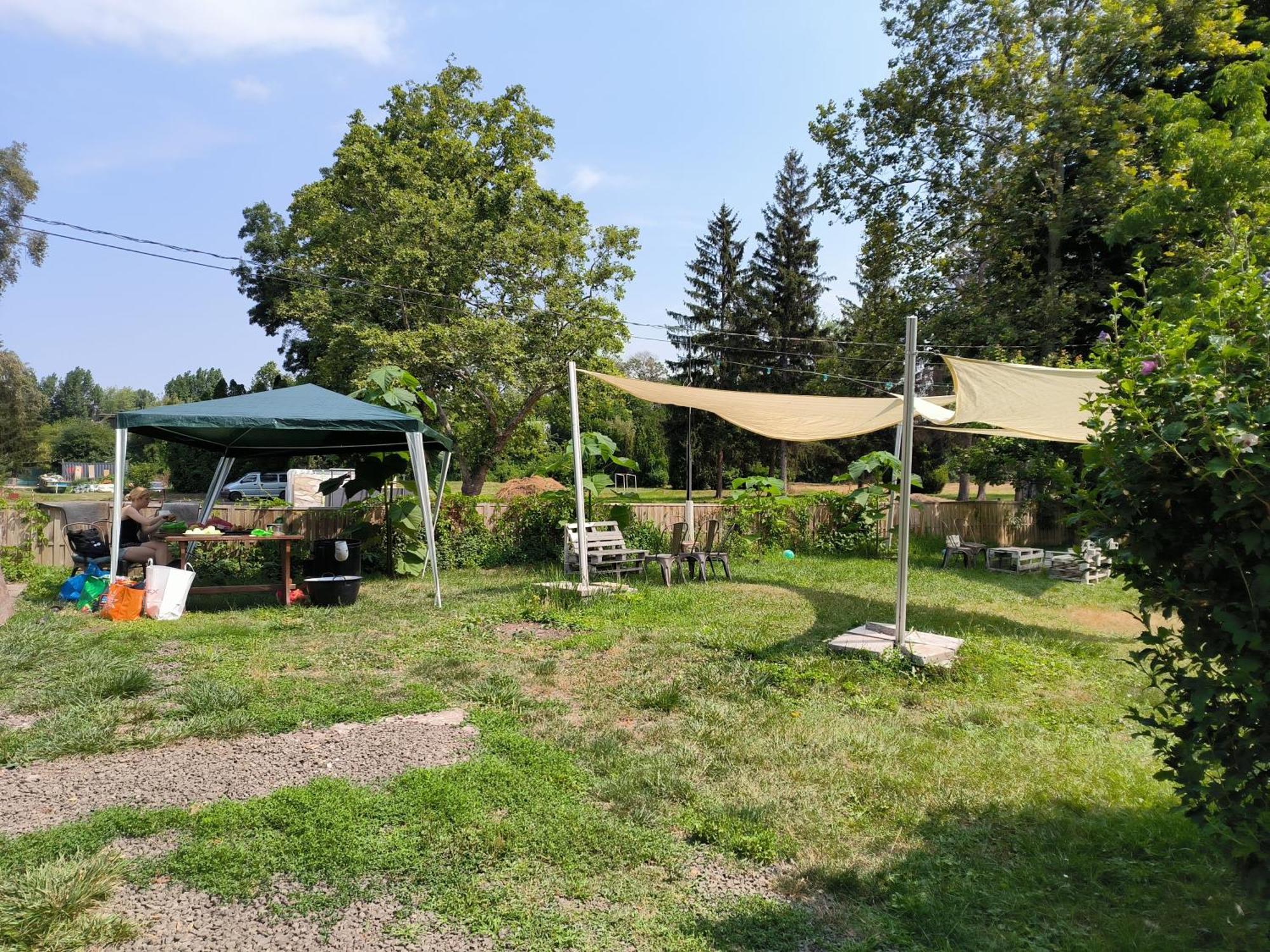 Apartament Caesar *